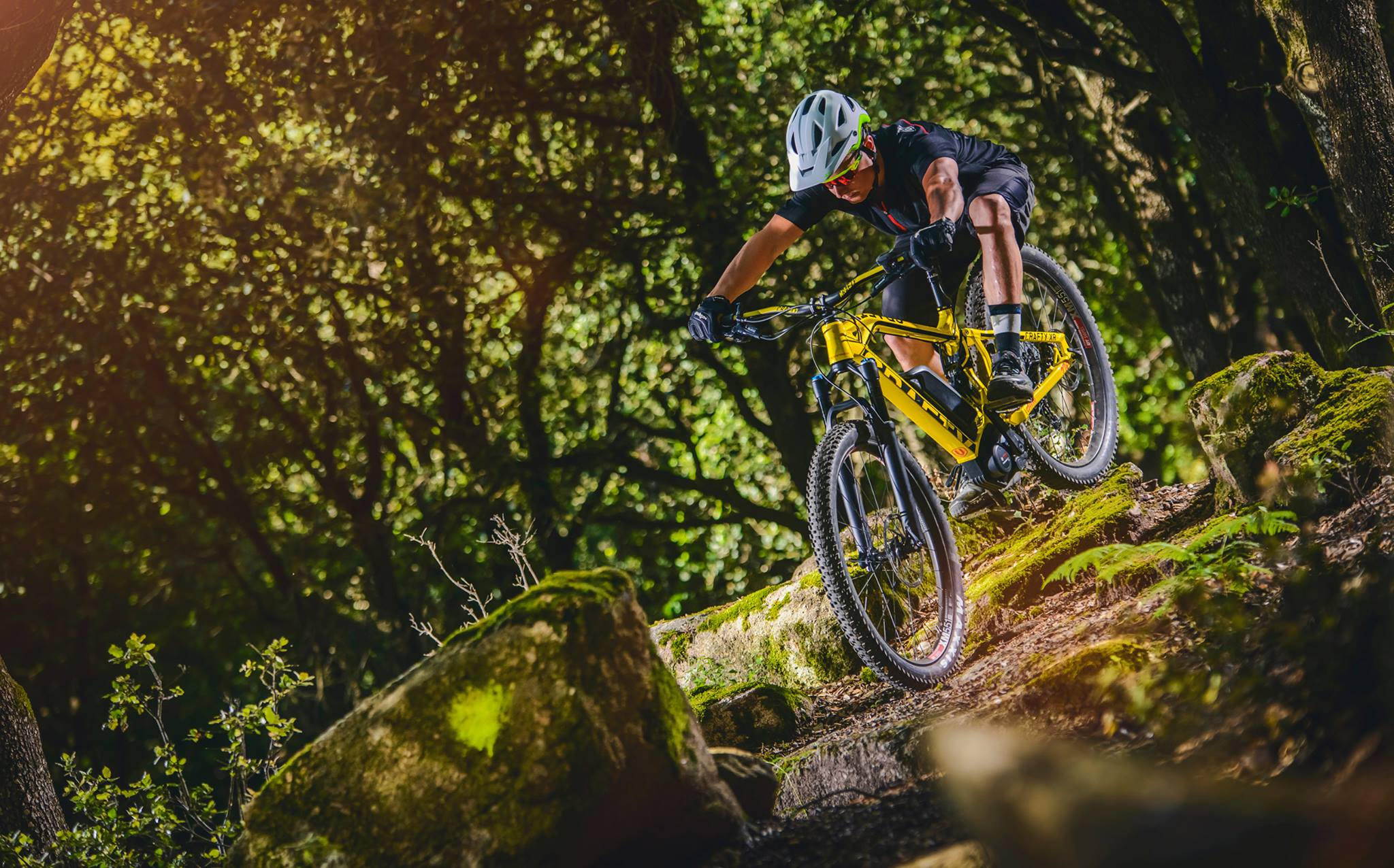 e-bike-trends-2019